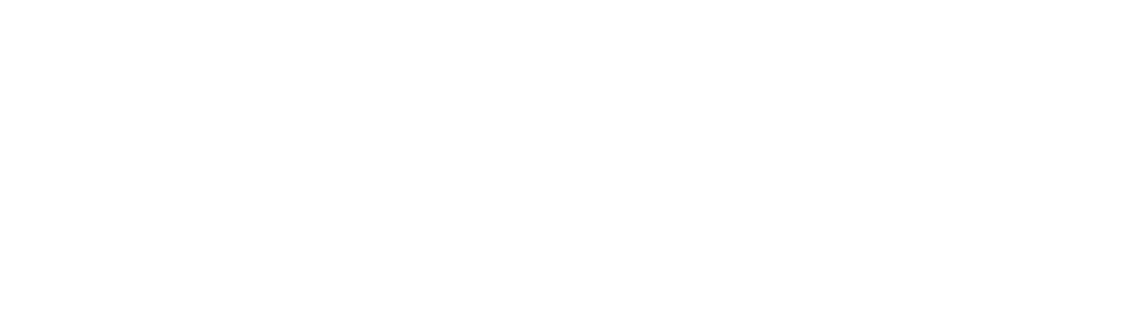 Logo von DNR mit Verlinkung zur Home-Seite